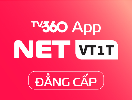 NET VT1T - DANGCAP